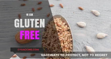 Is LSA Gluten Free? A Nutritional Guide for Dietary Needs