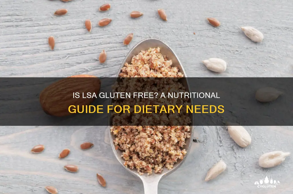 is lsa gluten free