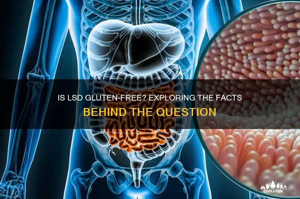 is lsd gluten free