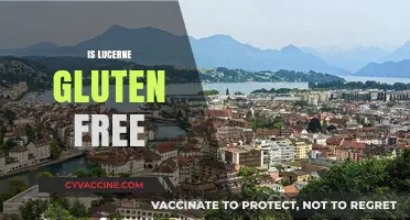 Is Lucerne Gluten-Free? Uncovering the Truth About This Popular Brand