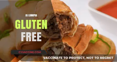 Is Lumpia Gluten-Free? A Complete Guide to Filipino Spring Rolls