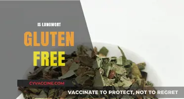 Is Lungwort Gluten Free? Exploring Its Safety for Celiac Diets