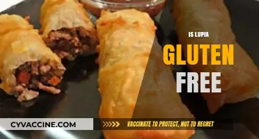 Is Lupia Gluten-Free? Uncovering the Truth for Celiac Diets
