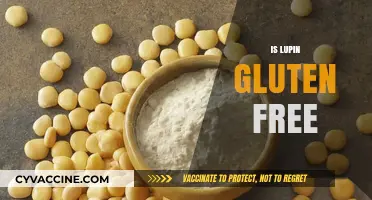Is Lupin Gluten-Free? Understanding Its Safety for Celiac Diets