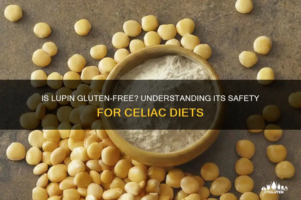is lupin gluten free