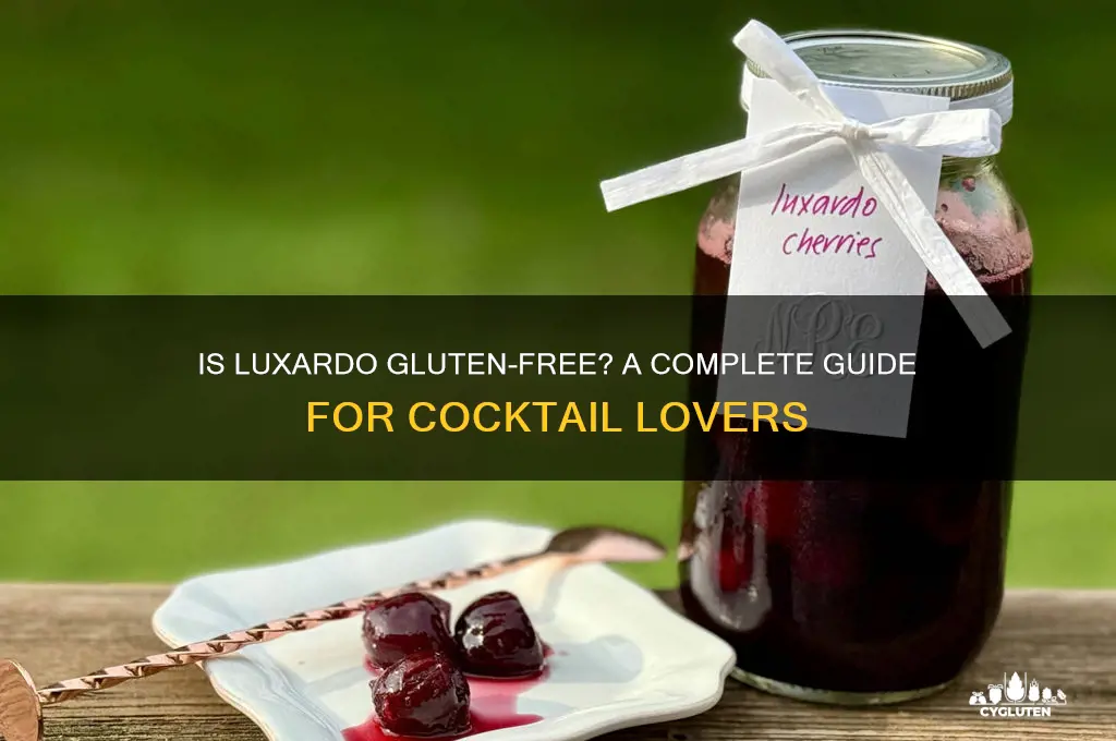 is luxardo gluten free