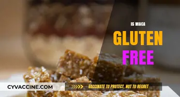 Is Maca Gluten-Free? Uncovering the Truth for a Healthy Diet