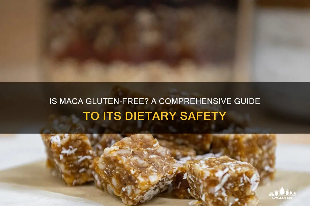 is macaeoo gluten-free