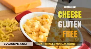 Is Macaroni Cheese Gluten-Free? A Tasty Dietary Dilemma Explored