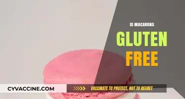Are Macarons Gluten-Free? A Sweet Guide to Safe Indulgence