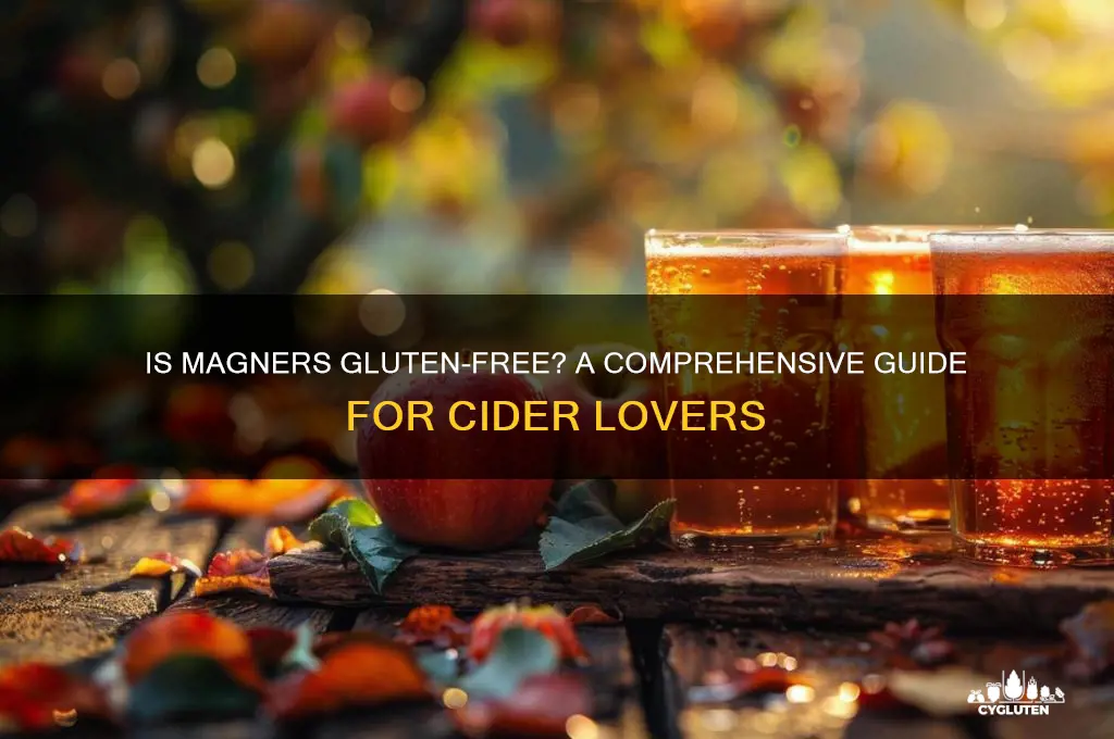 is magners gluten free