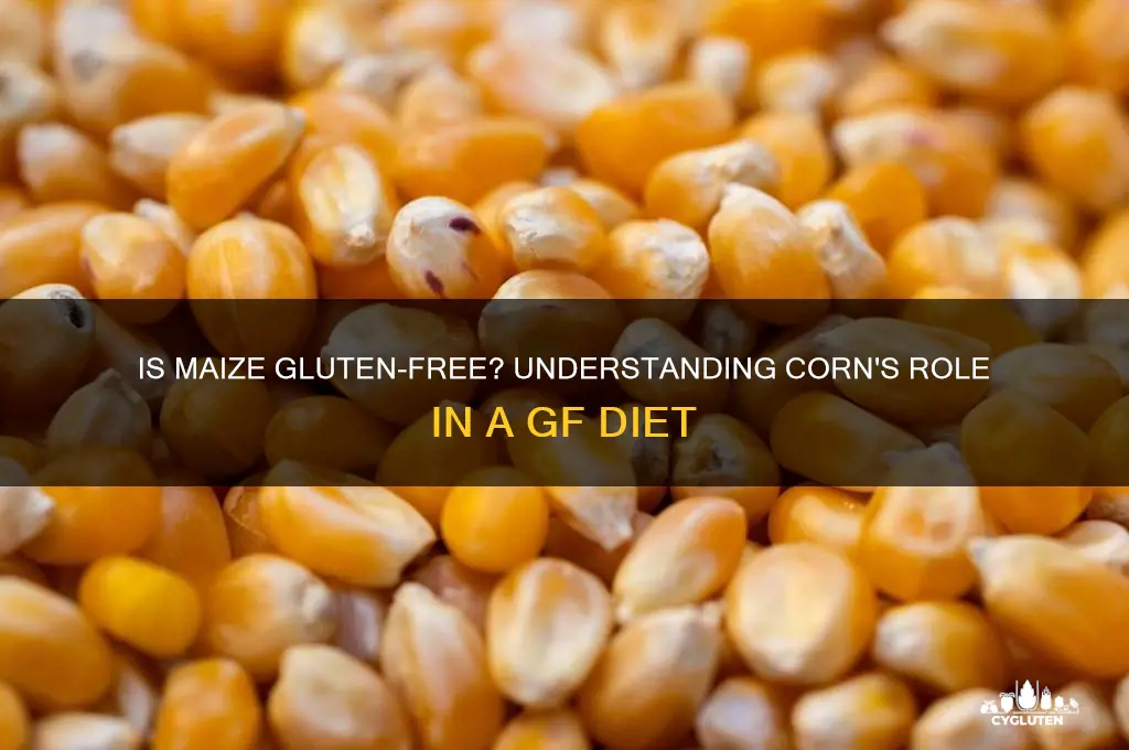 is maise gluten free