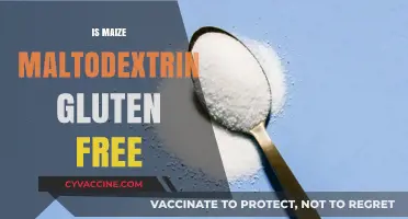 Is Maize Maltodextrin Gluten-Free? A Comprehensive Guide for Celiacs