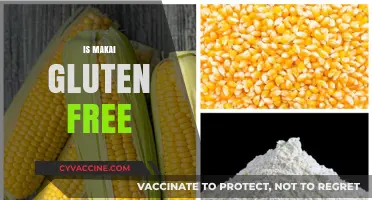 Is Makai Gluten-Free? Uncovering the Truth About Corn Flour