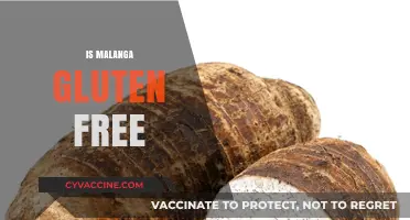 Is Malanga Gluten-Free? A Comprehensive Guide to This Root Vegetable