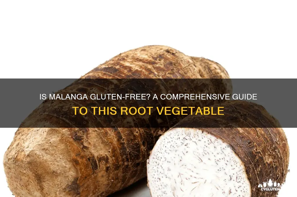 is malanga gluten free