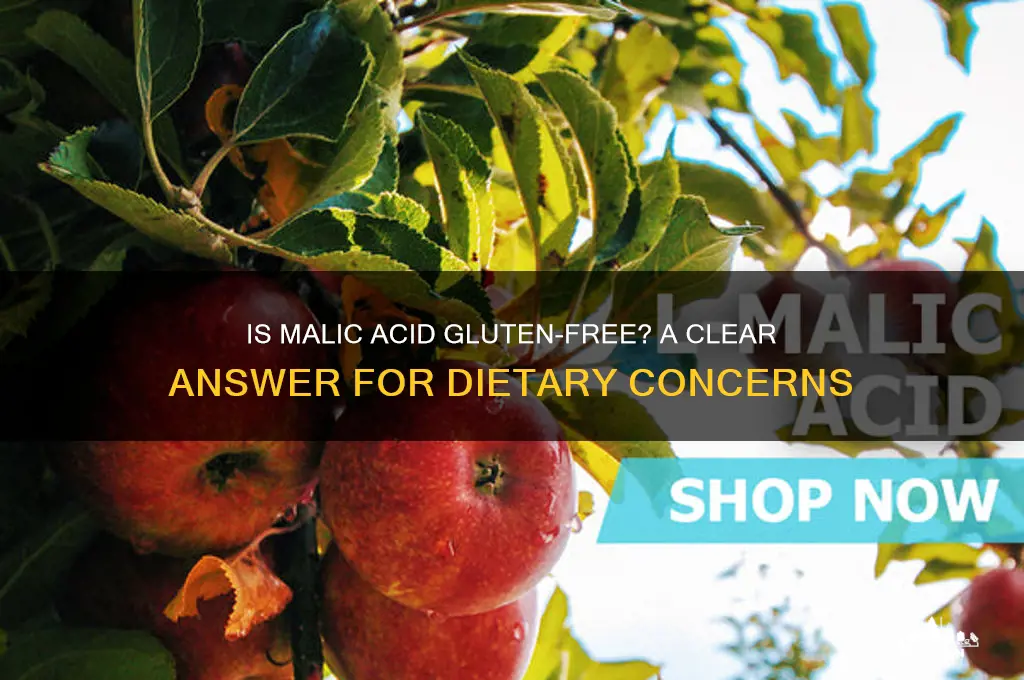 is malic acid gluten free