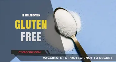 Is Maltodextrin Gluten-Free? Unraveling the Truth for Celiac Diets