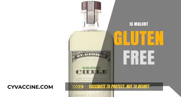 Is Malört Gluten-Free? Unraveling the Truth About This Bitter Spirit