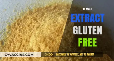 Is Malt Extract Gluten-Free? A Clear Answer for Your Diet