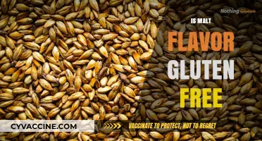 Is Malt Flavor Gluten-Free? Unraveling the Truth for Celiac Diets