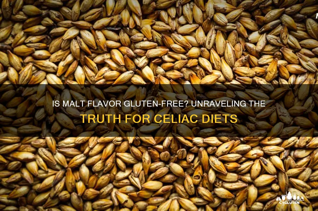 is malt flavor gluten free