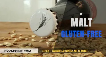 Is Malt Gluten-Free? Unraveling the Truth for Celiac Diets