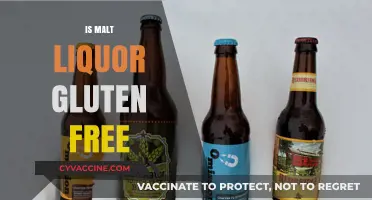 Is Malt Liquor Gluten-Free? Uncovering the Truth for Celiac Drinkers