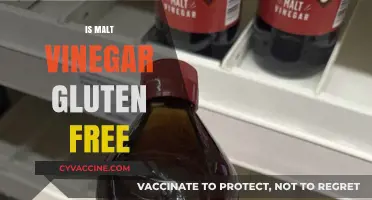Is Malt Vinegar Gluten-Free? A Clear Answer for Celiacs
