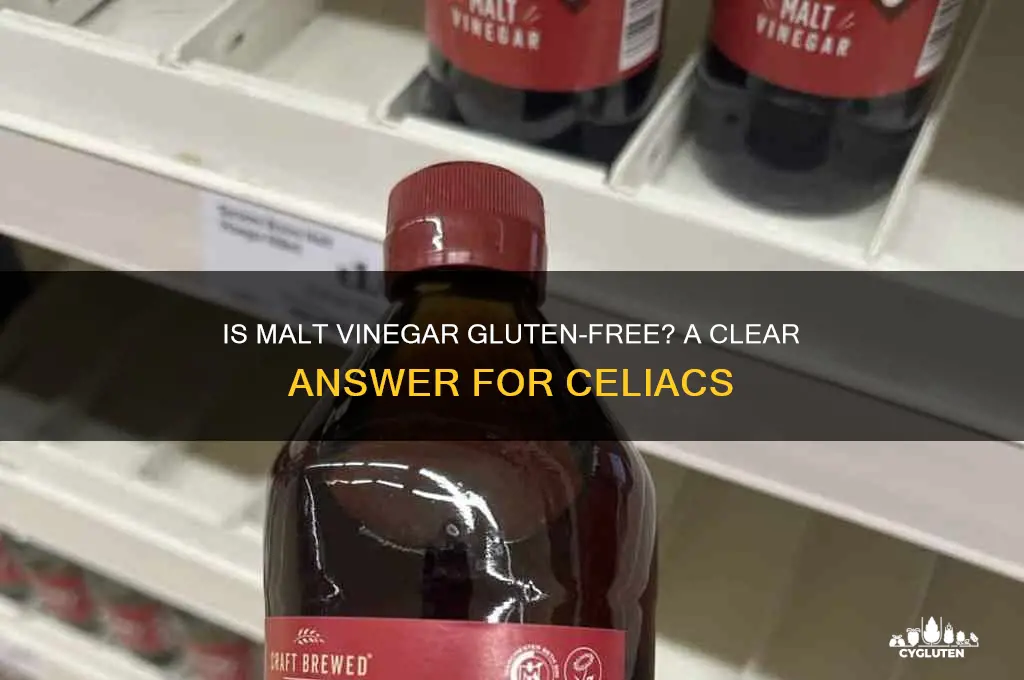 is malt vinegar gluten free