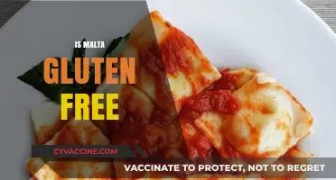 Is Malta Gluten-Free? Exploring the Dietary Facts and Options