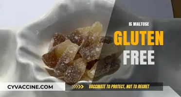 Is Maltose Gluten Free? Understanding Its Safety for Celiac Diets