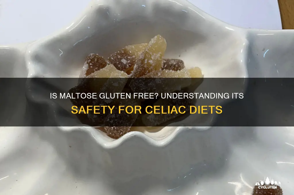 is maltose gluten free