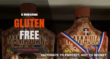 Is Mamajuana Gluten-Free? Exploring the Dominican Drink's Ingredients