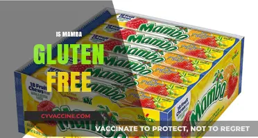 Is Mamba Gluten-Free? Uncovering the Truth About This Sweet Treat
