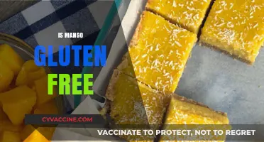 Is Mango Gluten-Free? Exploring the Tropical Fruit's Dietary Benefits