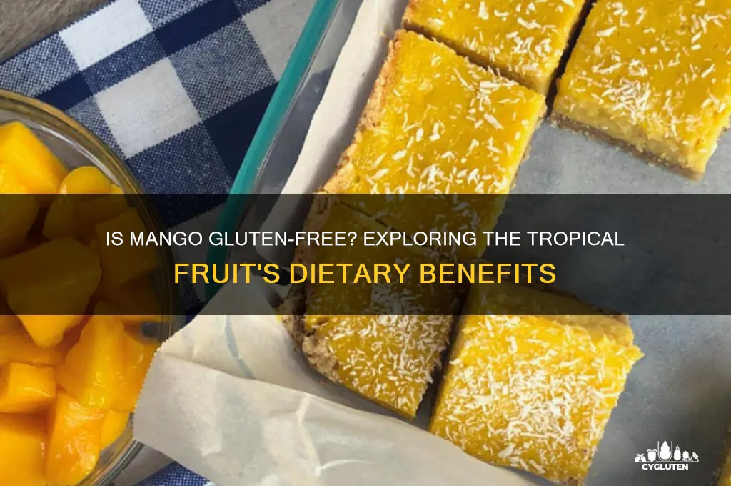 is mango gluten free