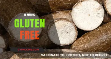 Is Manioc Gluten-Free? Discover the Truth About This Root Vegetable