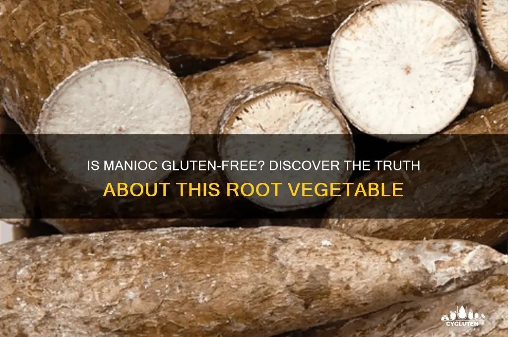 is manioc gluten free