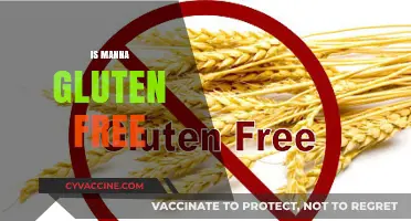 Is Manna Gluten-Free? Unraveling the Truth for a Healthy Diet