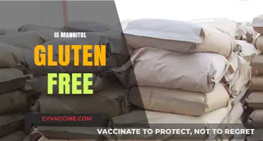 Is Mannitol Gluten-Free? Understanding Its Safety for Celiac Diets