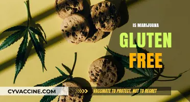 Is Marijuana Gluten-Free? Exploring Cannabis and Dietary Concerns