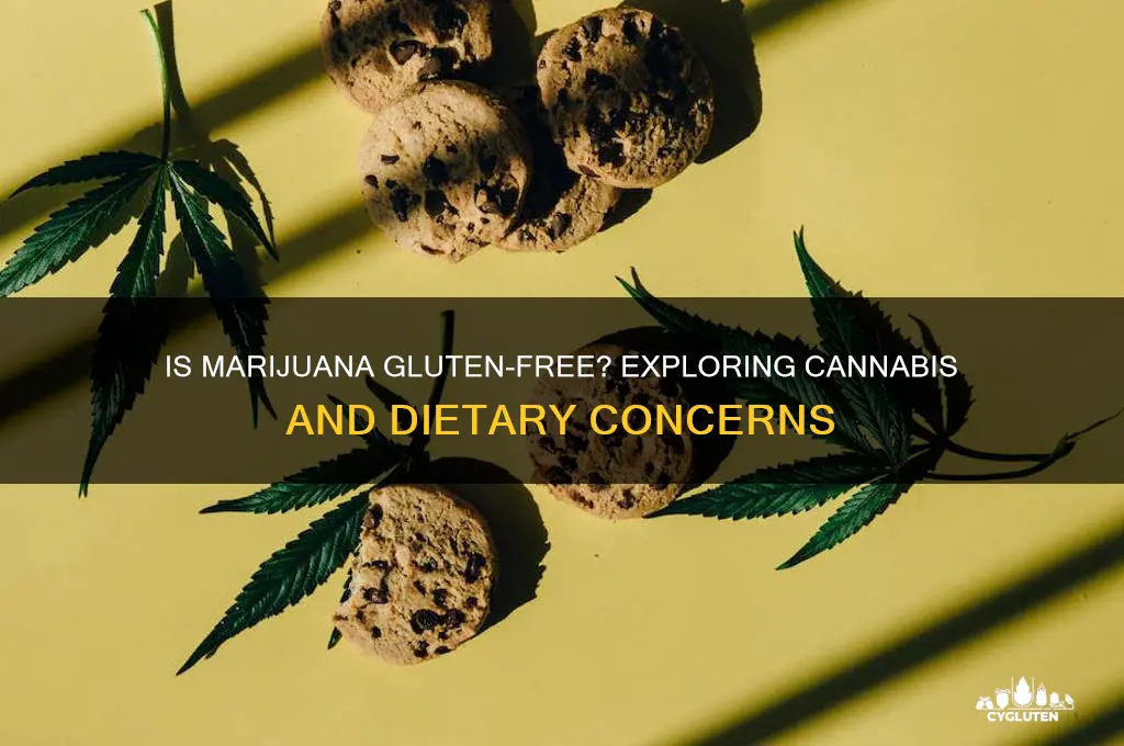 is marijuana gluten free