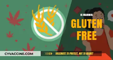 Is Marinol Gluten-Free? A Comprehensive Guide for Patients