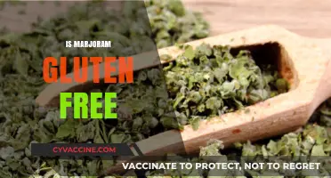 Is Marjoram Gluten Free? Exploring Its Safety for Celiac Diets