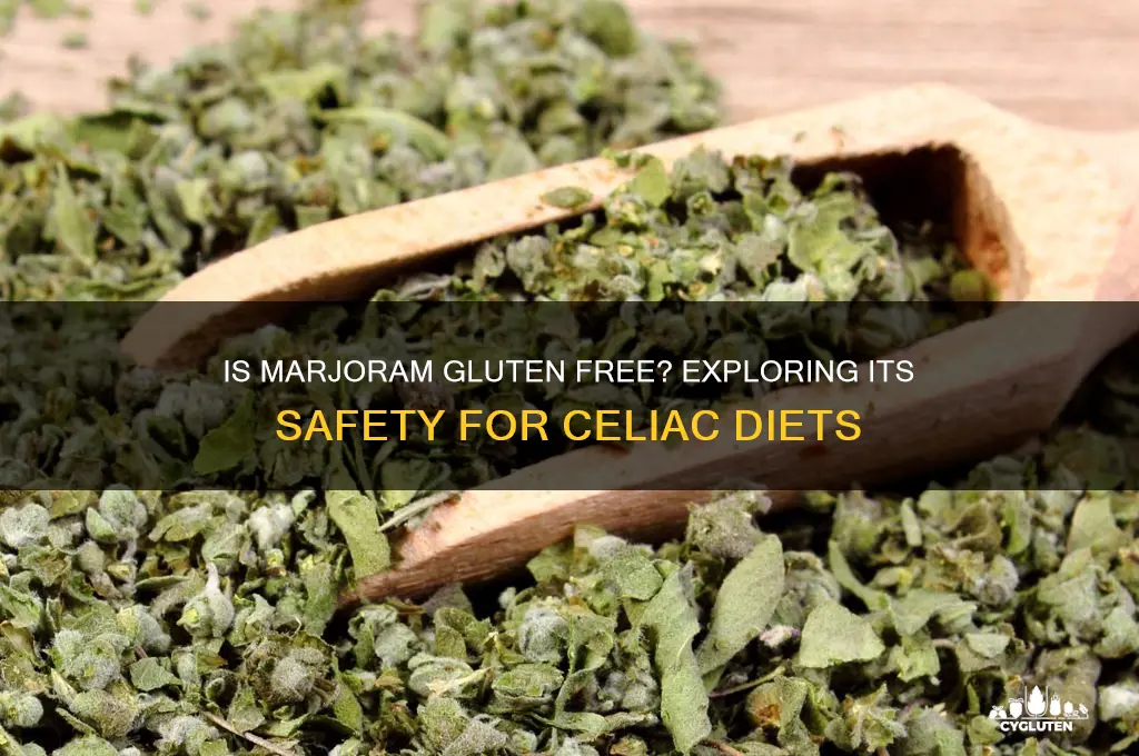 is marjoram gluten free