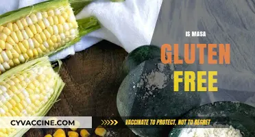 Is Masa Gluten Free? Uncovering the Truth for Celiac Diets