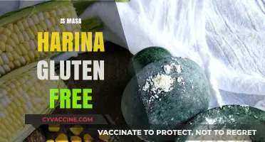 Is Masa Harina Gluten-Free? A Complete Guide for Celiac Diets