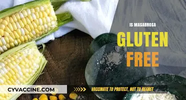 Is Masabrosa Gluten-Free? A Comprehensive Guide to Your Dietary Needs