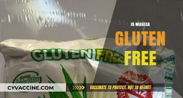 Is Maseca Gluten Free? A Complete Guide to Corn Flour Safety